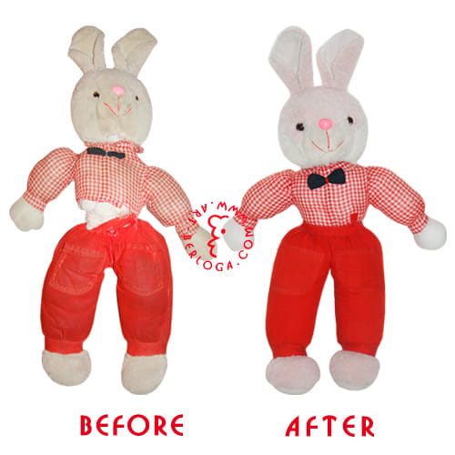 Repair of the bunny