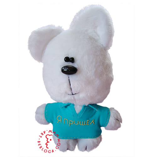Custom teddy bear