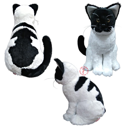 Custom kitty toy